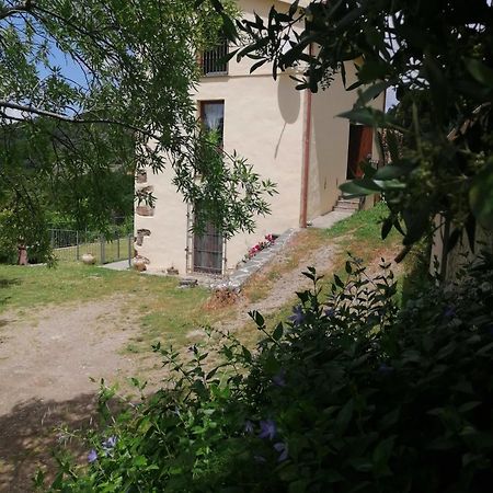 La Peonia Casa Vacanze In Montagna Prato Verde Panorama Stupendo Sardegna Seùlo Eksteriør billede