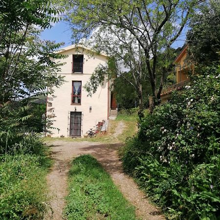 La Peonia Casa Vacanze In Montagna Prato Verde Panorama Stupendo Sardegna Seùlo Eksteriør billede