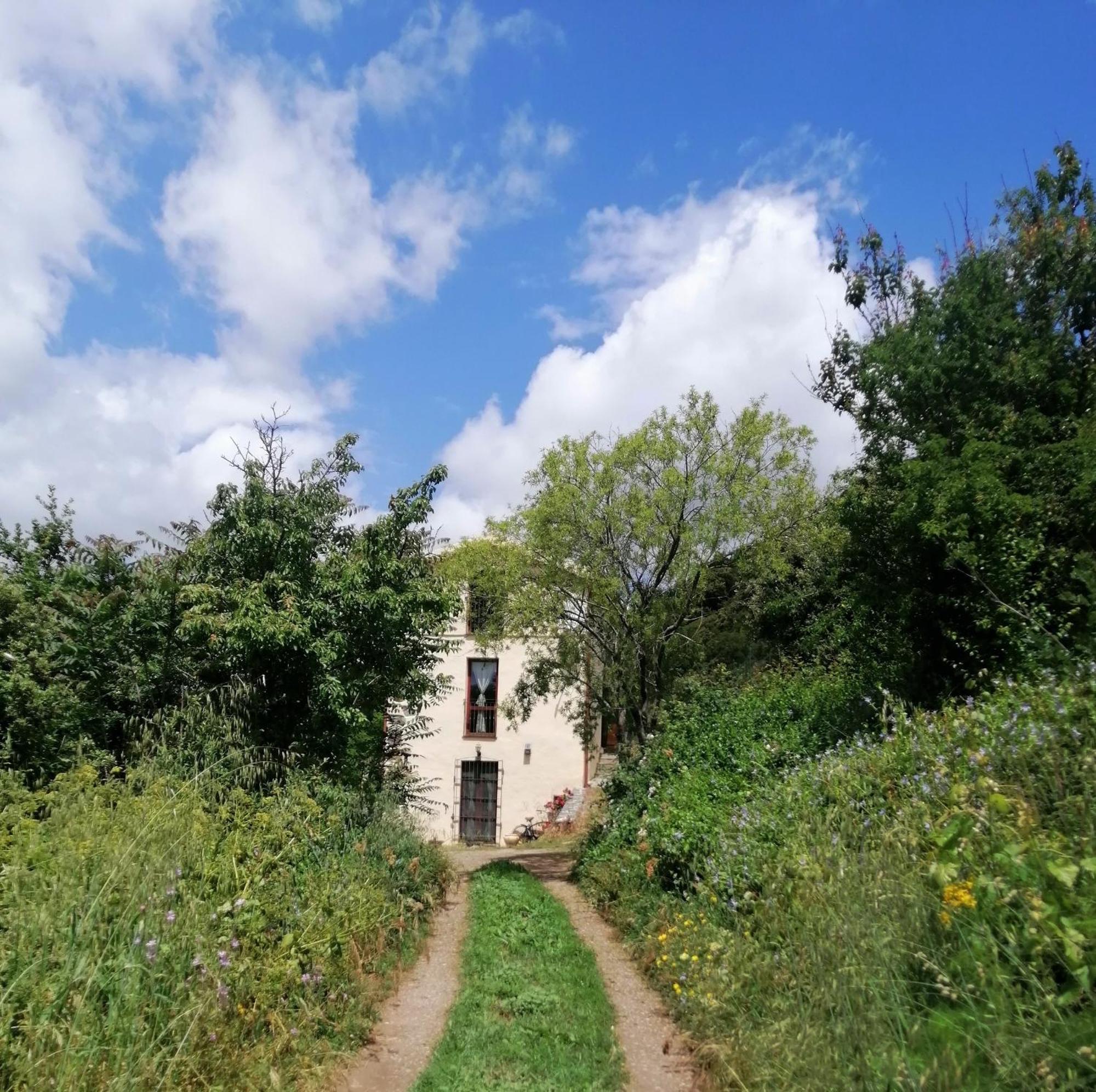 La Peonia Casa Vacanze In Montagna Prato Verde Panorama Stupendo Sardegna Seùlo Eksteriør billede