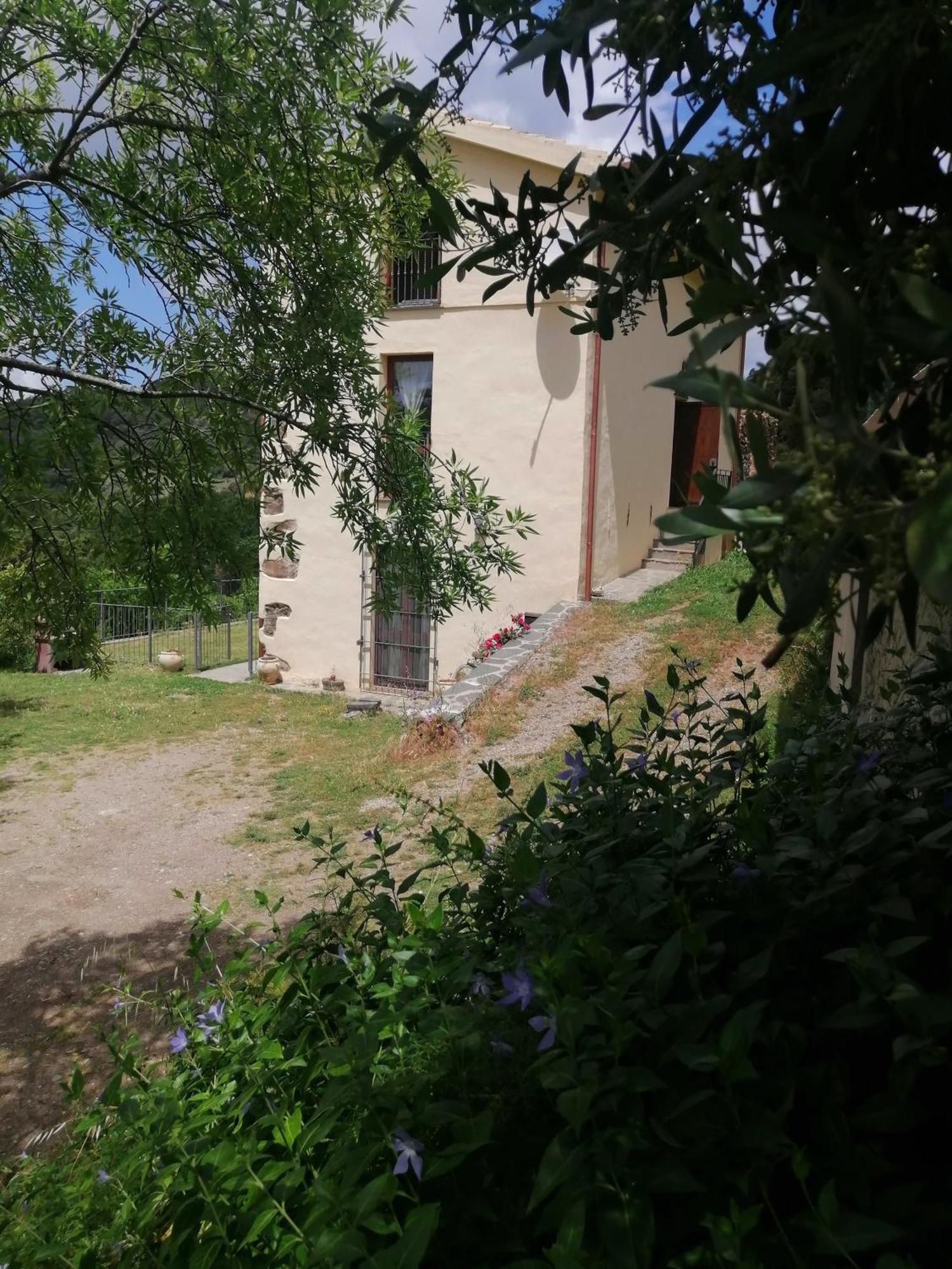 La Peonia Casa Vacanze In Montagna Prato Verde Panorama Stupendo Sardegna Seùlo Eksteriør billede