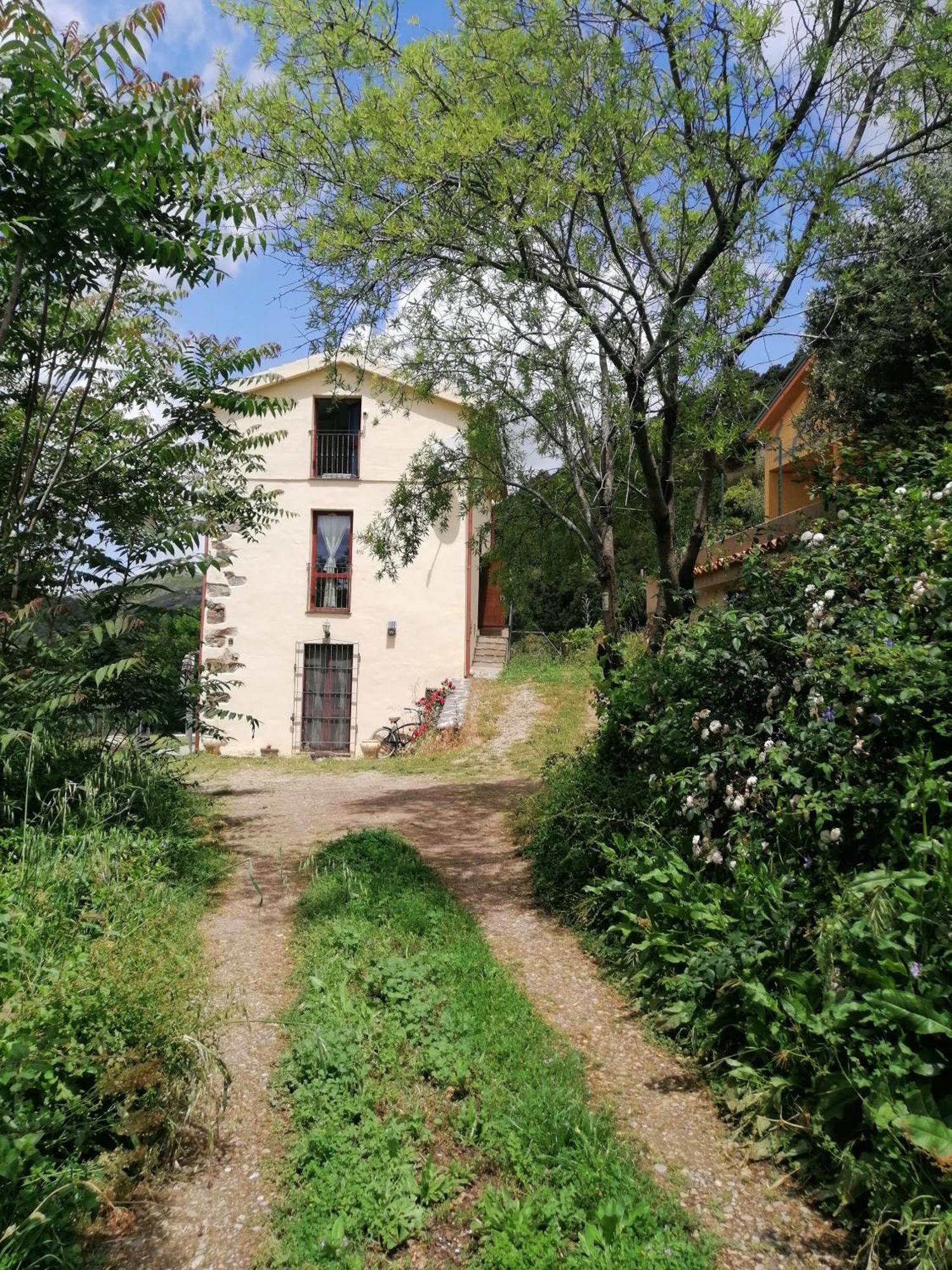 La Peonia Casa Vacanze In Montagna Prato Verde Panorama Stupendo Sardegna Seùlo Eksteriør billede