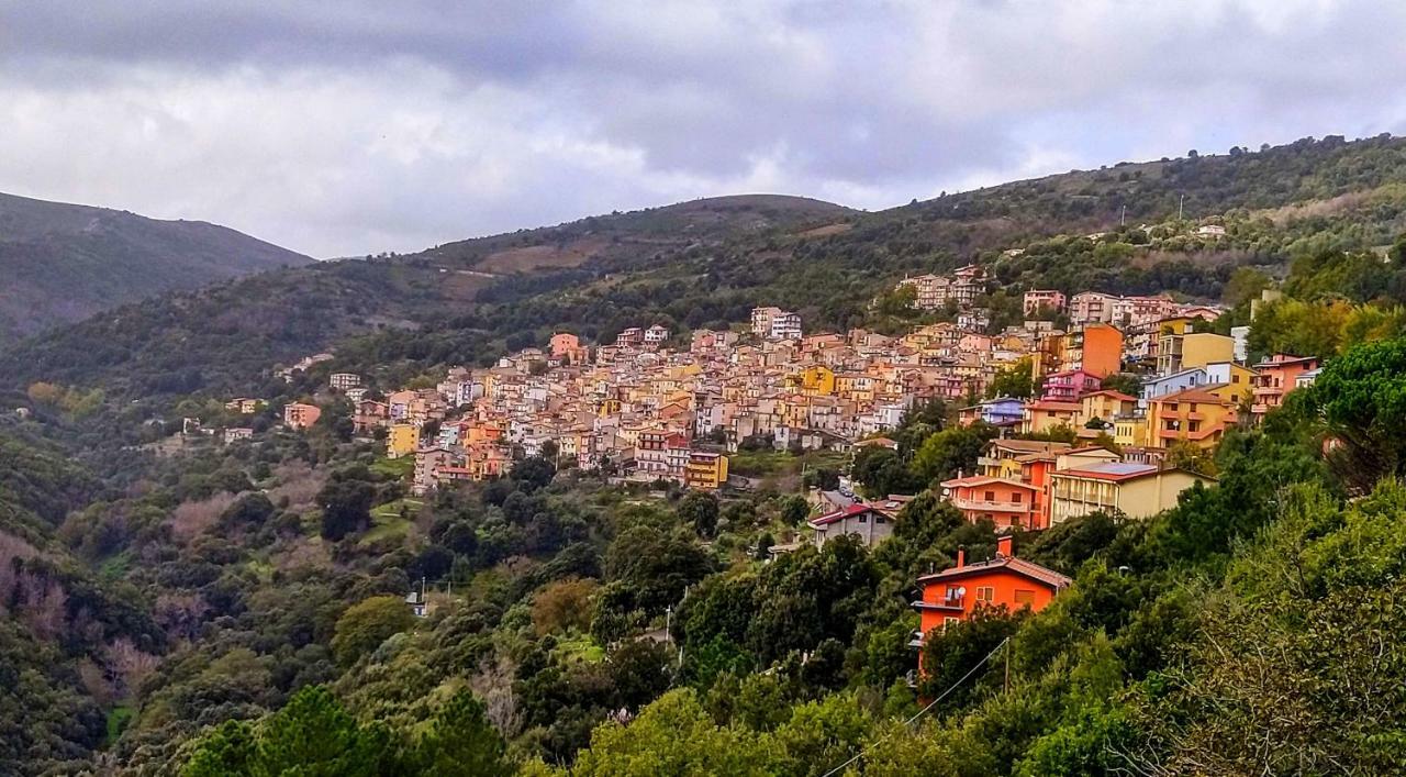 La Peonia Casa Vacanze In Montagna Prato Verde Panorama Stupendo Sardegna Seùlo Eksteriør billede