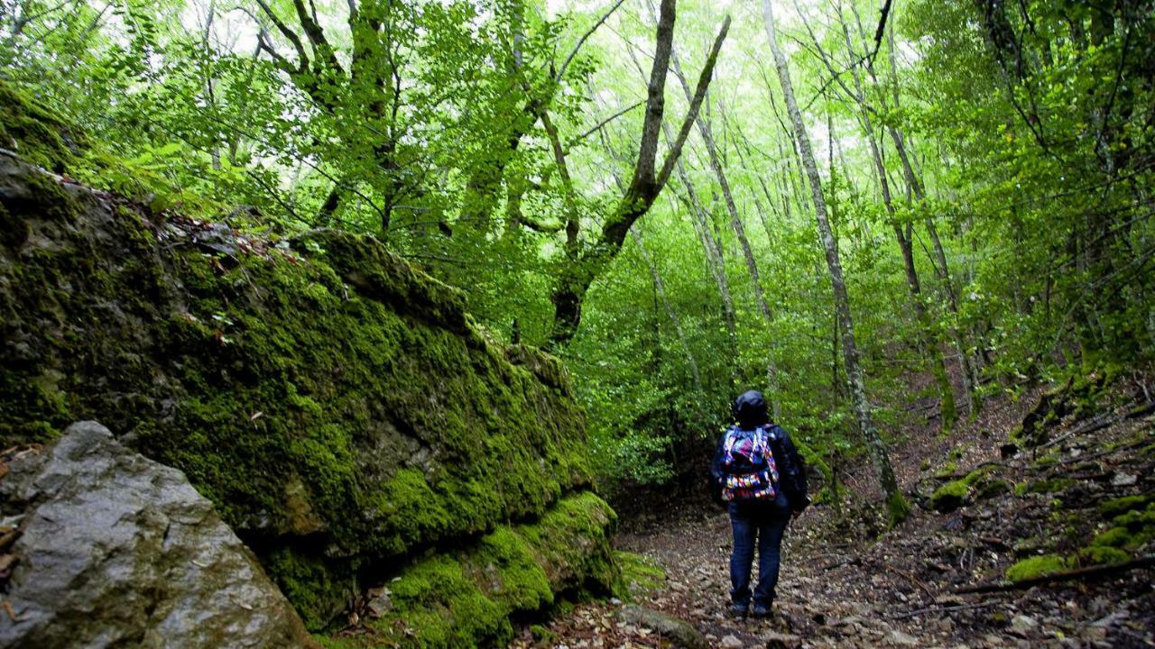 La Peonia Casa Vacanze In Montagna Prato Verde Panorama Stupendo Sardegna Seùlo Eksteriør billede