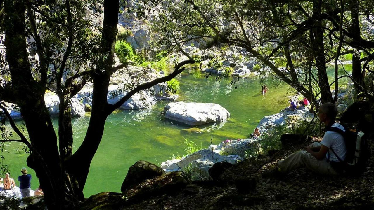 La Peonia Casa Vacanze In Montagna Prato Verde Panorama Stupendo Sardegna Seùlo Eksteriør billede