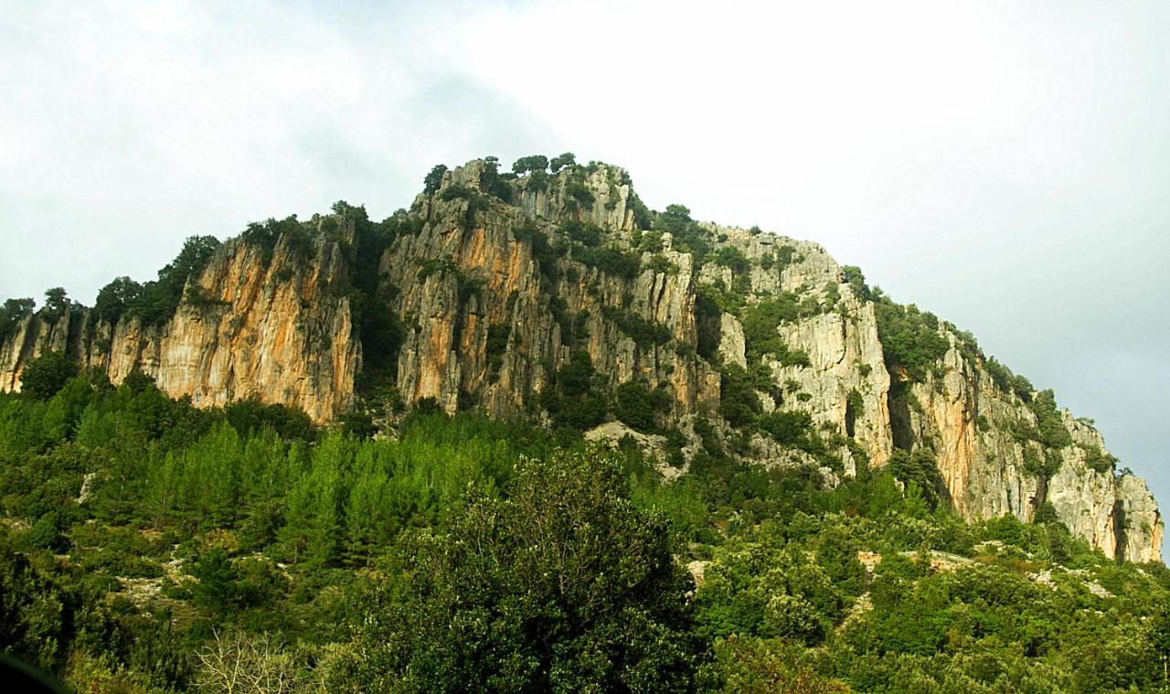 La Peonia Casa Vacanze In Montagna Prato Verde Panorama Stupendo Sardegna Seùlo Eksteriør billede