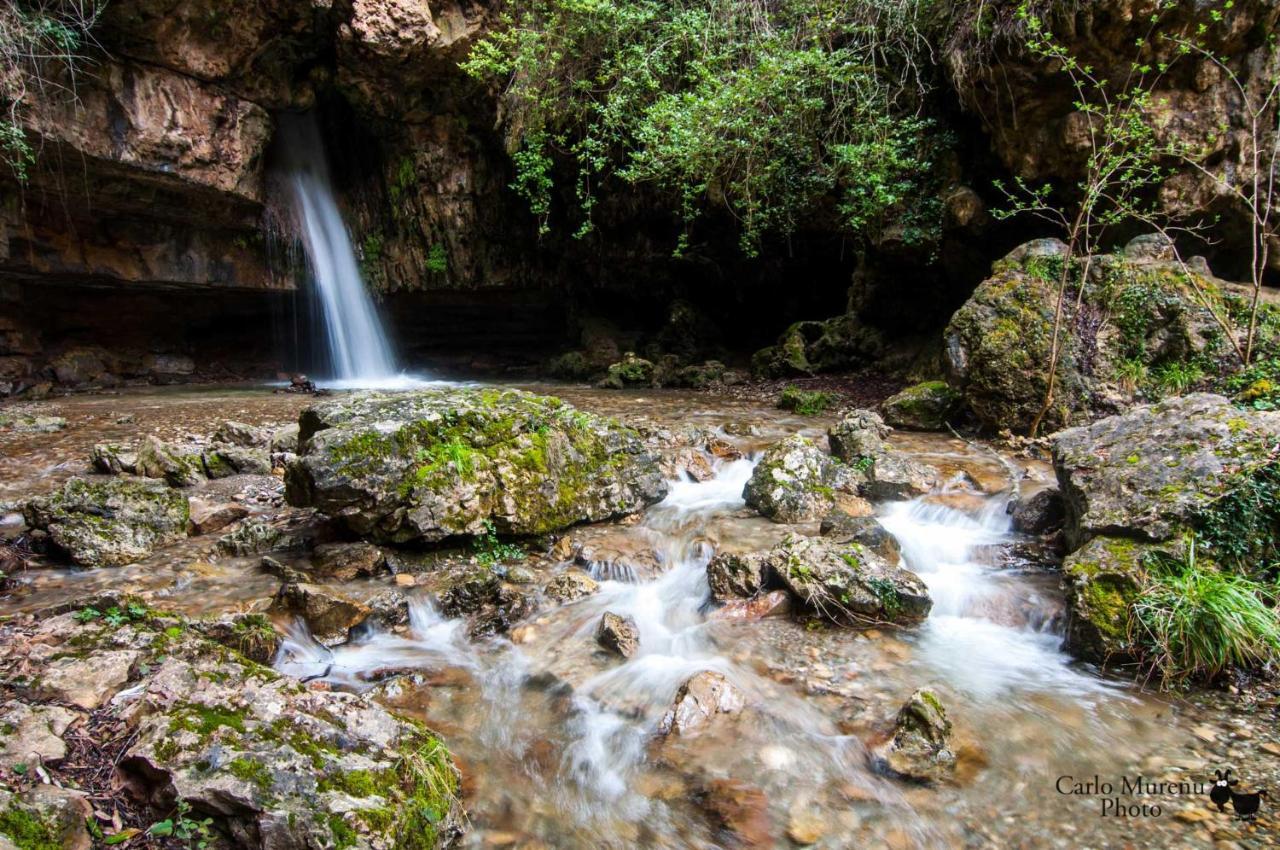 La Peonia Casa Vacanze In Montagna Prato Verde Panorama Stupendo Sardegna Seùlo Eksteriør billede