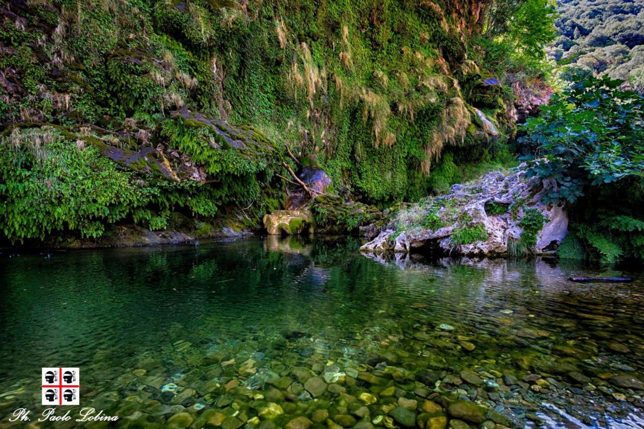 La Peonia Casa Vacanze In Montagna Prato Verde Panorama Stupendo Sardegna Seùlo Eksteriør billede